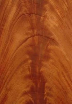Mahogany Curl Crotch veneer
